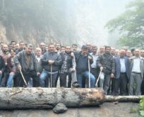 Artvin Cerattepe’de flaş karar!