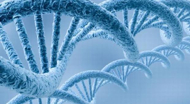 Saç telinden DNA testi nasıl yapılır?