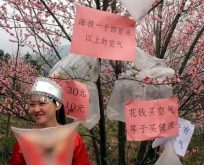 Çinli köylüler temiz hava satıyor