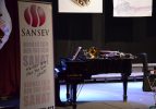 Sanatseverler Kültür ve Dayanışma Derneği (SANSEV)