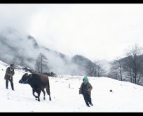 Türkiye’nin Oscar adayı Kalandar Soğuğu’na iki ödül