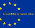 “AB’nin yolu Diyarbakır’dan geçer”