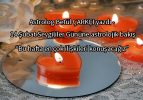 Sevgililer gününe doğru ilerlerken haftaya genel bir bakış