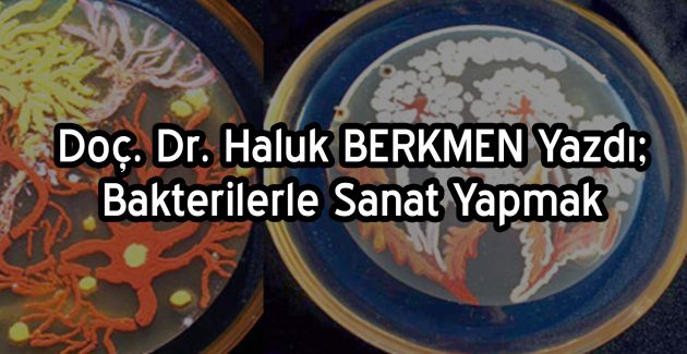 Bakterilerle Sanat Yapmak