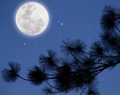 10 Ocak Ay Tutulmasının Burcunuza Etkileri