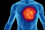 Kalp krizi kalıcı olarak genetik kod değiştirilerek engellenecek