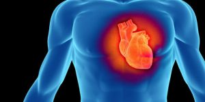 Kalp krizi kalıcı olarak genetik kod değiştirilerek engellenecek