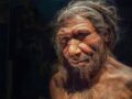 Neandertaller olmasaydı ‘soyumuz tükenebilirdi’