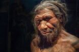 Neandertaller olmasaydı ‘soyumuz tükenebilirdi’