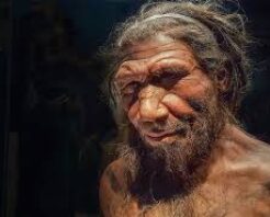 Neandertaller olmasaydı ‘soyumuz tükenebilirdi’