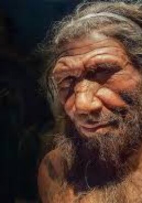 Neandertaller olmasaydı ‘soyumuz tükenebilirdi’