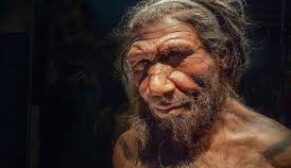Neandertaller olmasaydı ‘soyumuz tükenebilirdi’