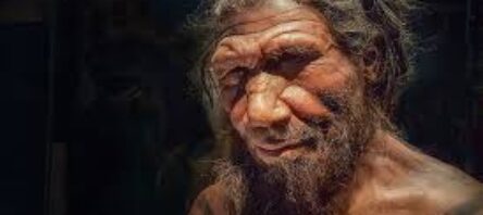 Neandertaller olmasaydı ‘soyumuz tükenebilirdi’