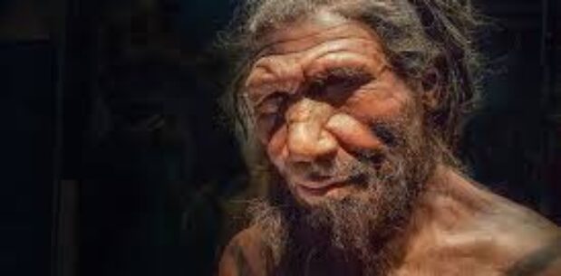 Neandertaller olmasaydı ‘soyumuz tükenebilirdi’