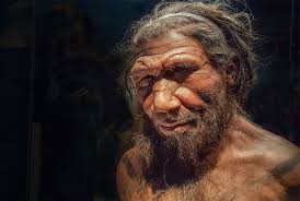 Neandertaller olmasaydı ‘soyumuz tükenebilirdi’