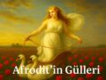 Güllerin İçinden Gel Afrodit!