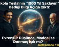 Bioenerjetik Felsefe (Yaşam Enerjisi)